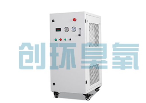 固原石斑鱼养殖水质调控完整指南：臭氧发生器配置与操作步骤