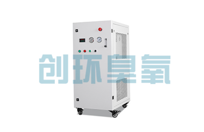 固原比传统换水更高效？臭氧发生器在石斑鱼养殖中的水质净化原理解析