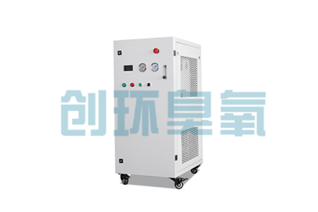 固原比传统换水更高效？臭氧发生器在石斑鱼养殖中的水质净化原理解析
